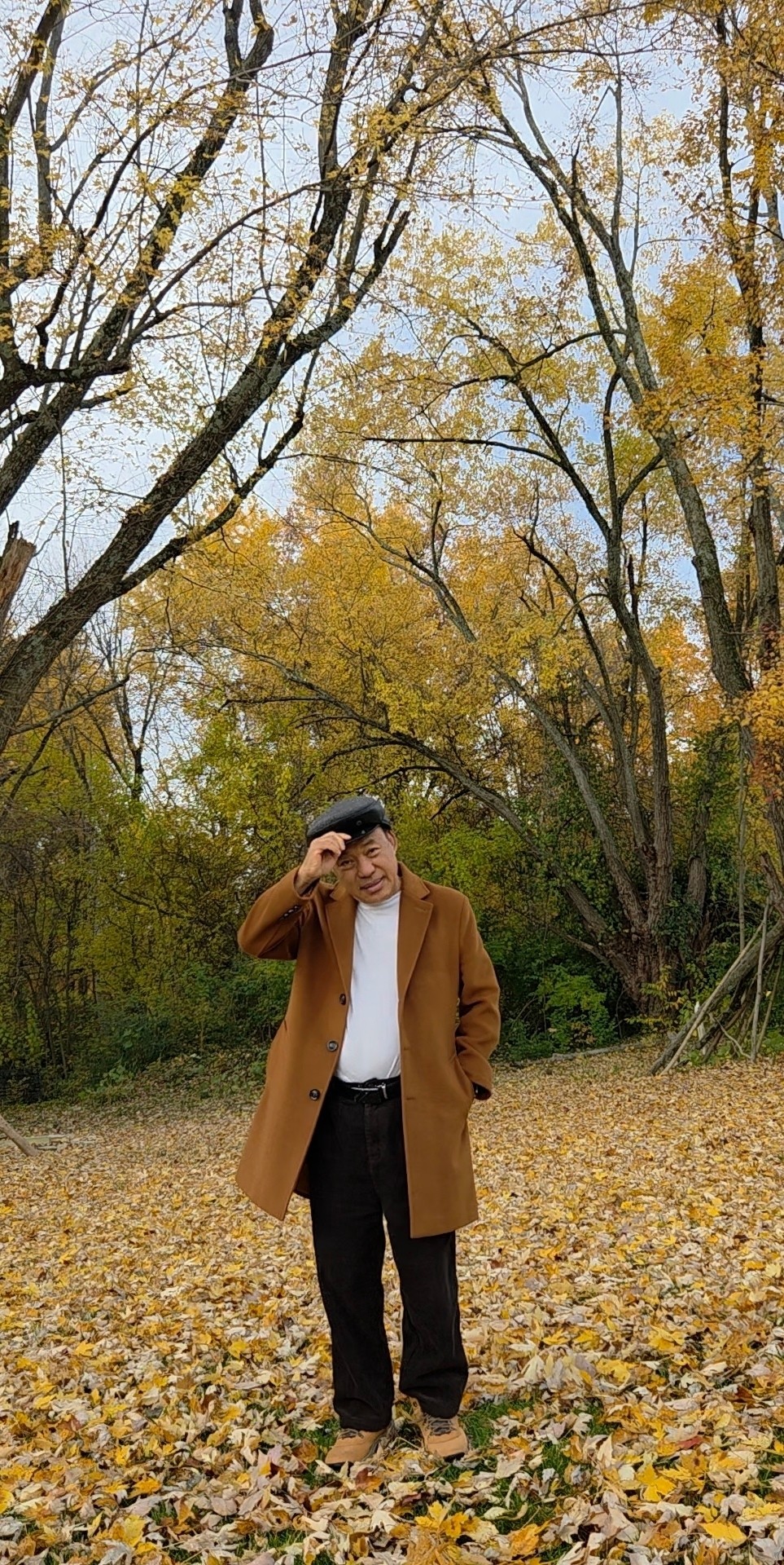 Fall - zungcar luchin